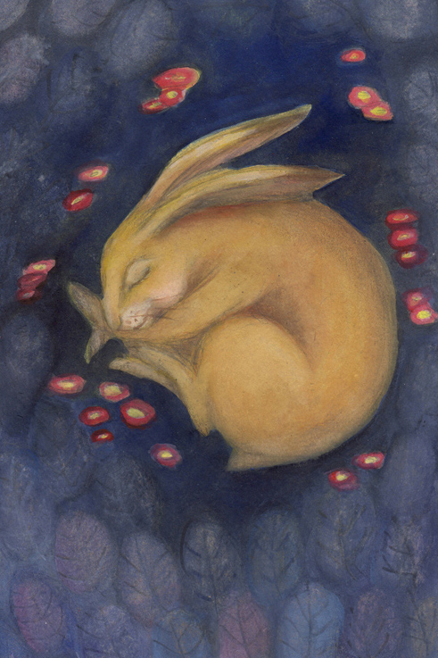 bunny