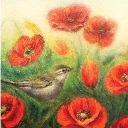 poppies