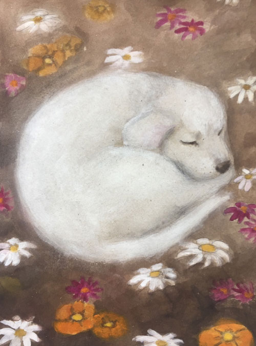 puppy
